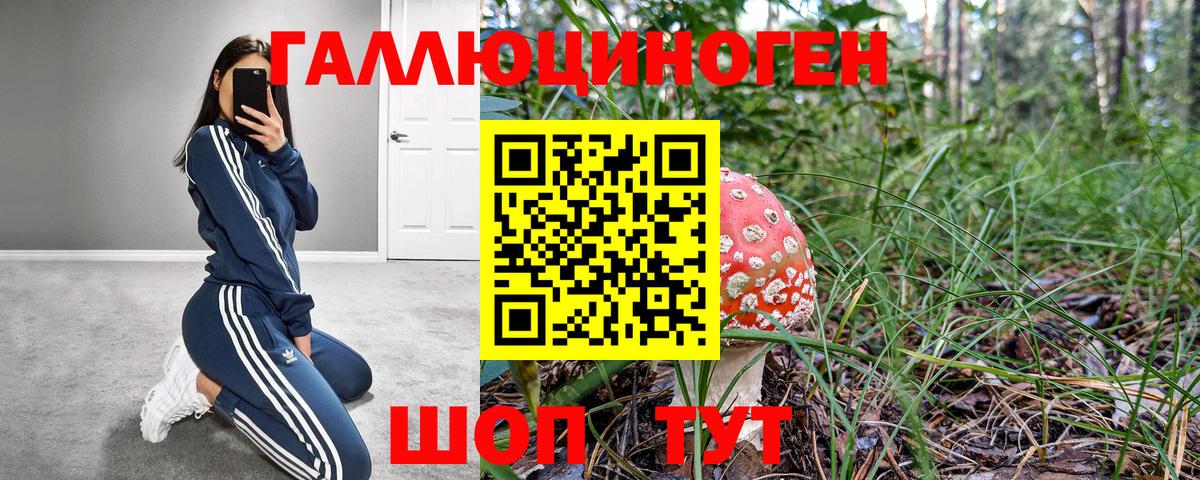 Когалым  Галлюциногенные грибы мицелий  Вход с VPN 